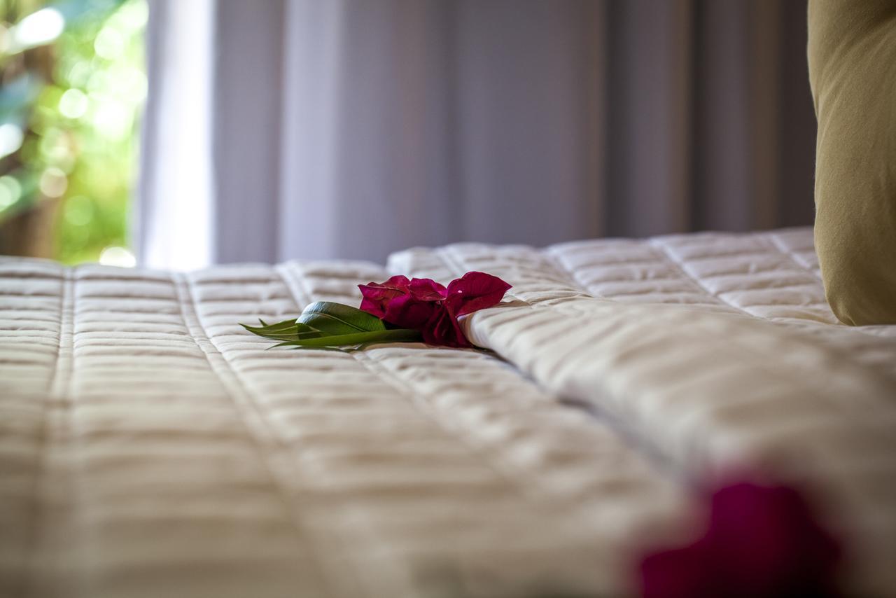 Hotel Sombra E água Fresca Floresta Praia de Pipa